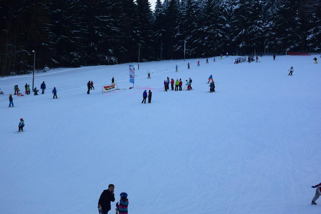 Landhotel Henkenhof Willingen Willingen  Buitenkant foto