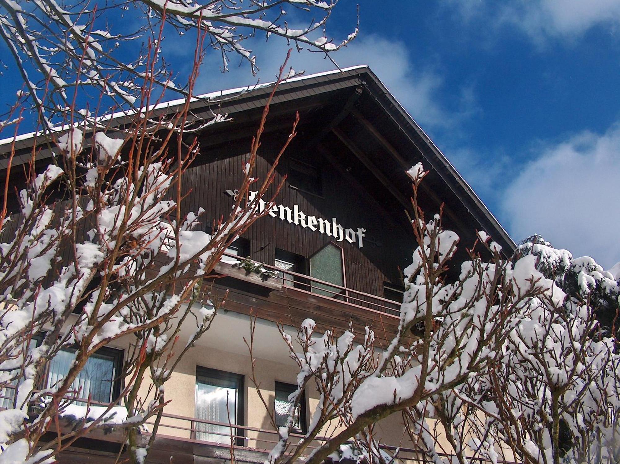 Landhotel Henkenhof Willingen Willingen  Buitenkant foto